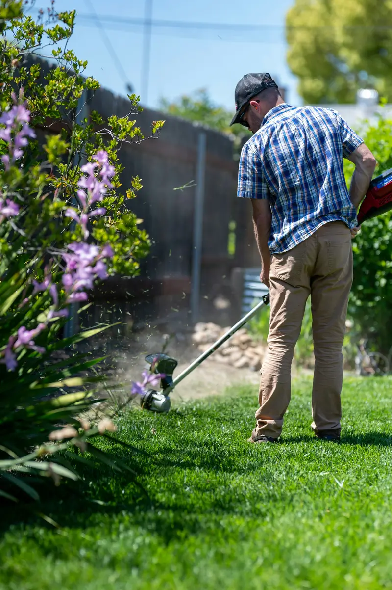 A worker trimming the lawn edge beside purple flowers on a sunny day